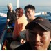Dolphin Swimming Tour 