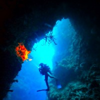 Paket Diving  Pulau Padaido 3H2M