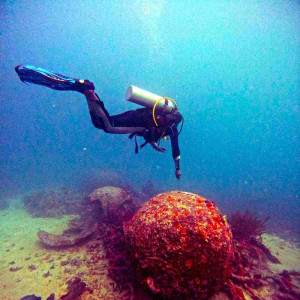 https://windowtraveler.com/image/cache/catalog/tourtravel/padaido%20dive/pd5-300x300.jpg