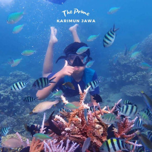 https://windowtraveler.com/image/cache/catalog/tourtravel/prime%20tour/kj2-300x300.jpg